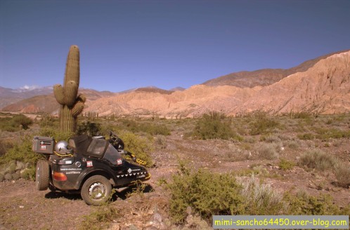 DD et les cactus