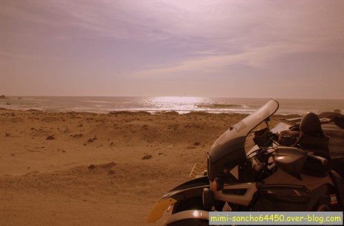 iquique 8894.NEF (Copier)